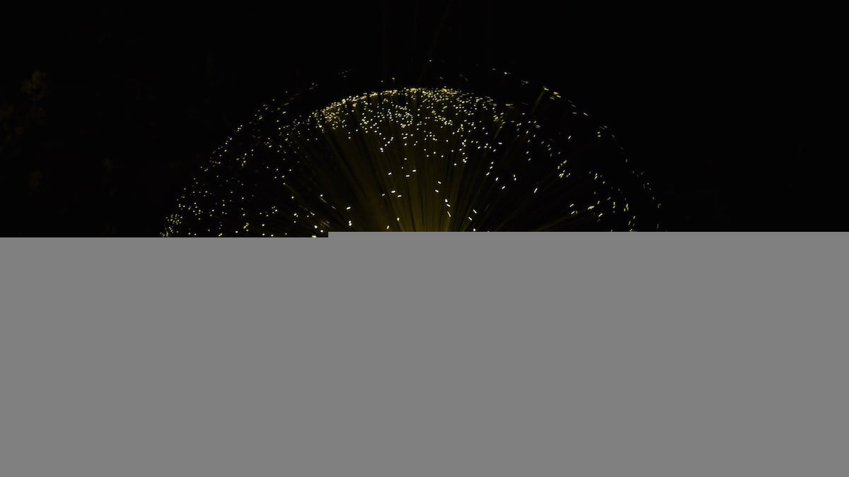fiber lights-1